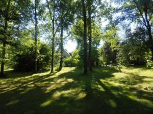 Ancien logis familial avec parc et activités, près des Châteaux de la Loire, tout inclus, animal accepté - FR-1-381-466