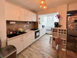 Apartament Popescu - 克利默内什蒂