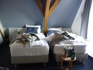 Standard Twin Room room in Hohes Haus