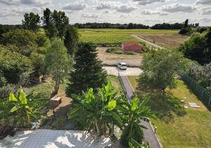 B&B / Chambres d'hotes Jardin d'arcy - chambres d'hotes avec piscine et SPA : photos des chambres