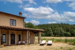 Melograno Poderone - Cellena