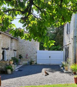 Maisons de vacances gite en pierre le paradis jaccuzzi piscine perigord pourpre 9km de bergerac : photos des chambres