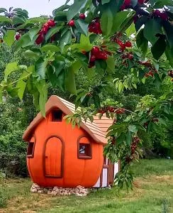 Krka Magic Pumpkin - Rupe