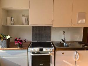 FeelHome small 1 bedroom apartment Polar vegen