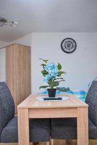 Ruhige Wohnung im . Private Parkplatz ,Balkon ,Netflix