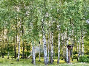 Brzozowy Chillout