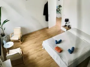 Stanza e bagno privato, idromassaggio con extra fee, in appartamento - Vigarano Mainarda