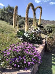 La Rosa dei Venti img15