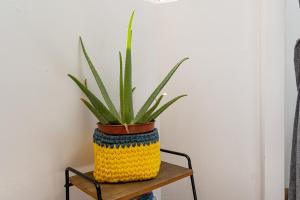 YOLO House - Corralejo