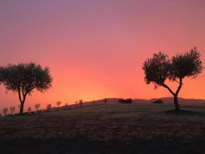 Pianderna Agriwellness