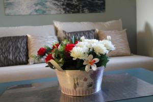 Apartamentos Cinco Rosas