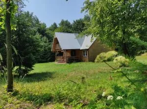 Domek w lesie - Czerce