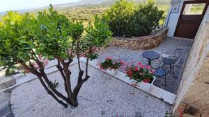 casa l'Ulivariu affittacamere img11