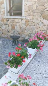 casa l'Ulivariu affittacamere img71