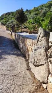 casa l'Ulivariu affittacamere - Nuragheddu