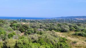 casa l'Ulivariu affittacamere img42