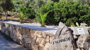 casa l'Ulivariu affittacamere img38