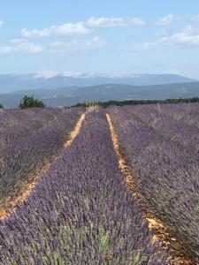 Villas ECHAPPEE EN PROVENCE : photos des chambres