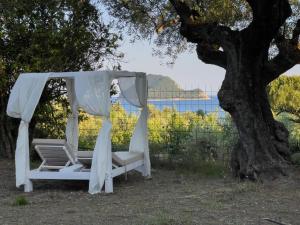 Villa Anta house by the sea