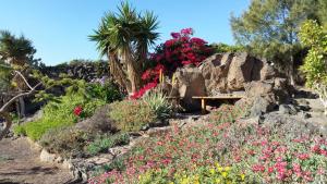 Villa Los Morales-Roque