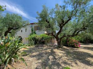 Villa Anta house by the sea