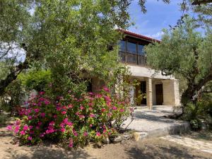 Villa Anta house by the sea