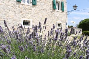 Boutique Castello Gulich