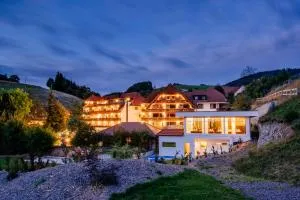Wellnesshotel Ludinmühle - بيدرباخ بادِن فور