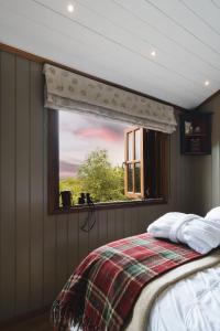 Hooting Owl Retreat