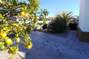 Riumar "La Siesta", 330m to beach, private pool, On-Site-Service, dog beach