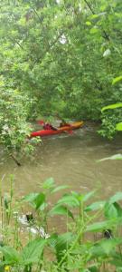 Zakątek Bór, nowoczesne domki nad rzeką