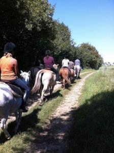 Appartements Insolite! Plusieurs Gites dans Ferme Equestre : photos des chambres