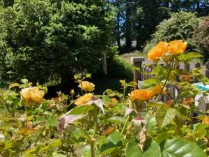 Coastal Studio - كريسنت سيتي