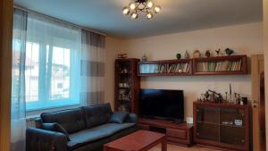 Apartman - Karlovci