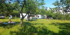 OffCamping Bobicesti - land for camping, with water source and without electricity -Doar teren pentru campare cu sursa de apa , fără electricitate ! Self check-in !