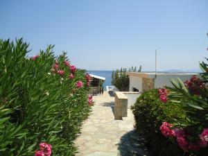 Vangelis Villas Lasithi Greece