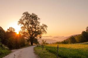 Apartments with Private Saunas - WELLNESS Gobi