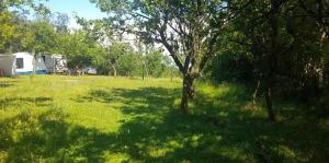 OffCamping Bobicesti - land for camping, with water source and without electricity -Doar teren pentru campare cu sursa de apa , fără electricitate ! Self check-in !