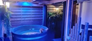 Appart'hotels Appart Hotel GLAM88 Suites avec SPA et Sauna Privatif : photos des chambres