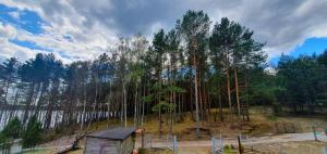 Apartament z widokiem na ... jezioro, las, oraz wypoczynek w Swornychgaciach
