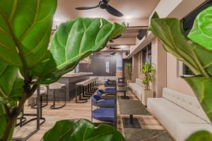 Hotel Sites Barranquilla