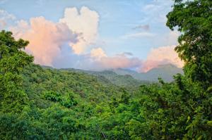 Ross Blvd, Dominica, West Indies.