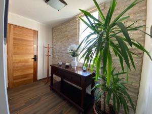 Dpto 1er nivel en La Serena