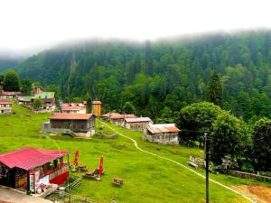 Ayder Vesile Otel