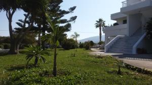 Eftihia Apartments Kos Greece
