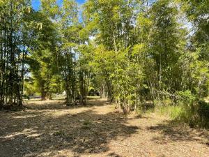 GSM Bamboo Farm RV and Caravan site