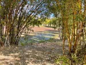 GSM Bamboo Farm RV and Caravan site