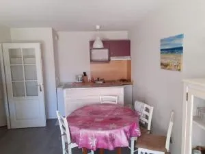 Appartement RDC avec Terrasse, Jardin et Accès Plage - Capacité 4 Pers, Animaux et Fumeurs Non Admis - FR-1-674-4 - 埃塔普勒