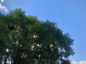 Loft Increíble en la mejor ubicación de la CDMX