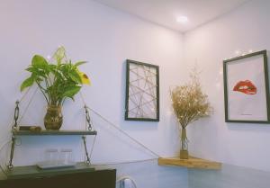 Lighthouse Homestay Vũng Tàu